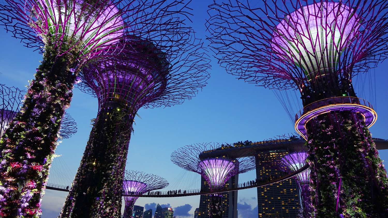 Gardens by the Bay, #Singapore - best places to visit in Singapore #travel