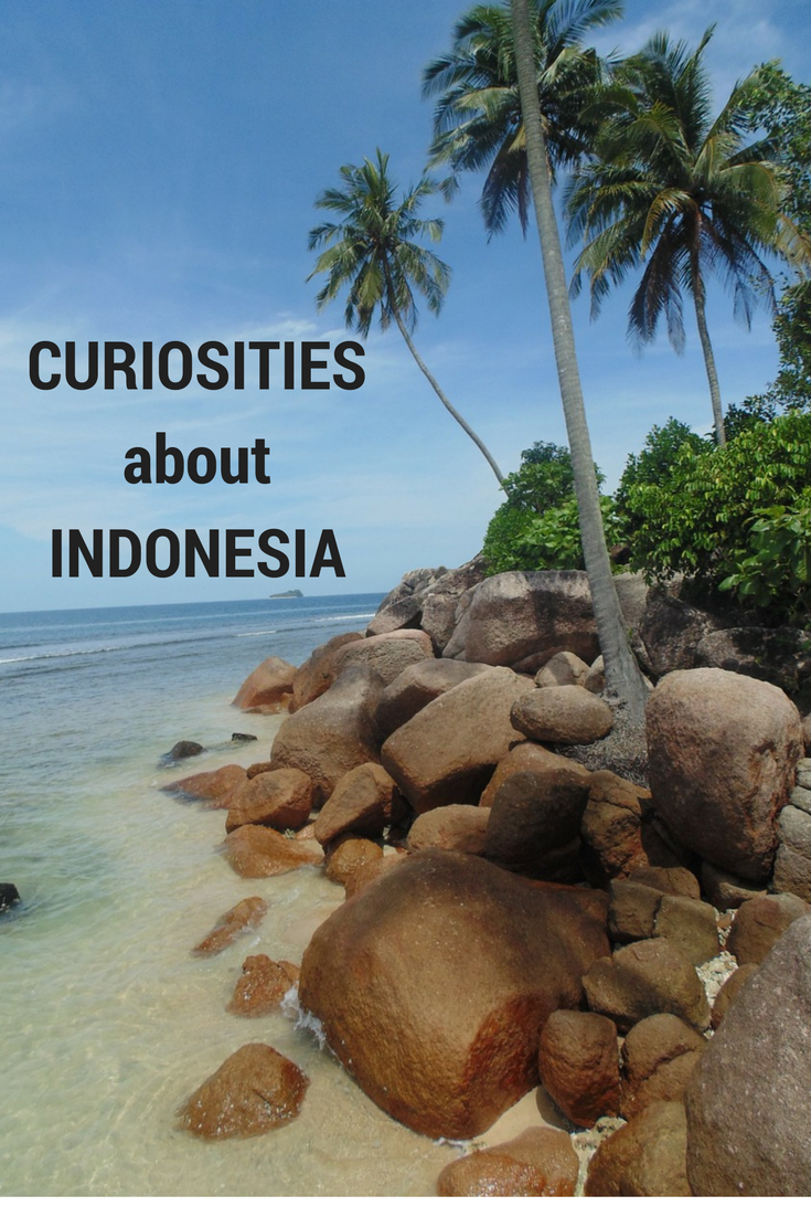 Quirks of #Indonesia - curious things 