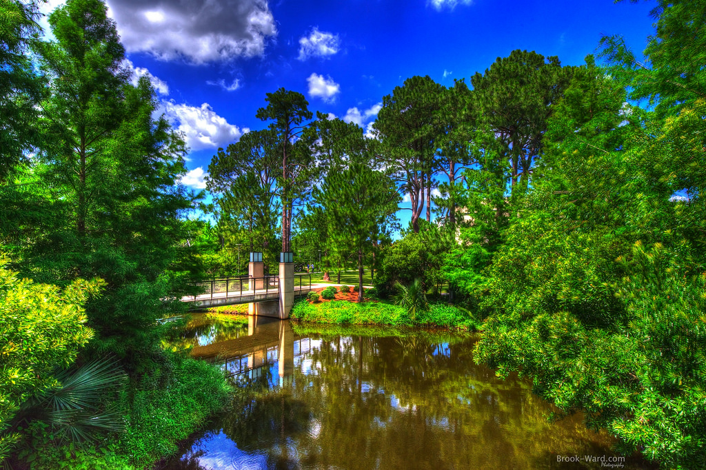 New Orleans City Park