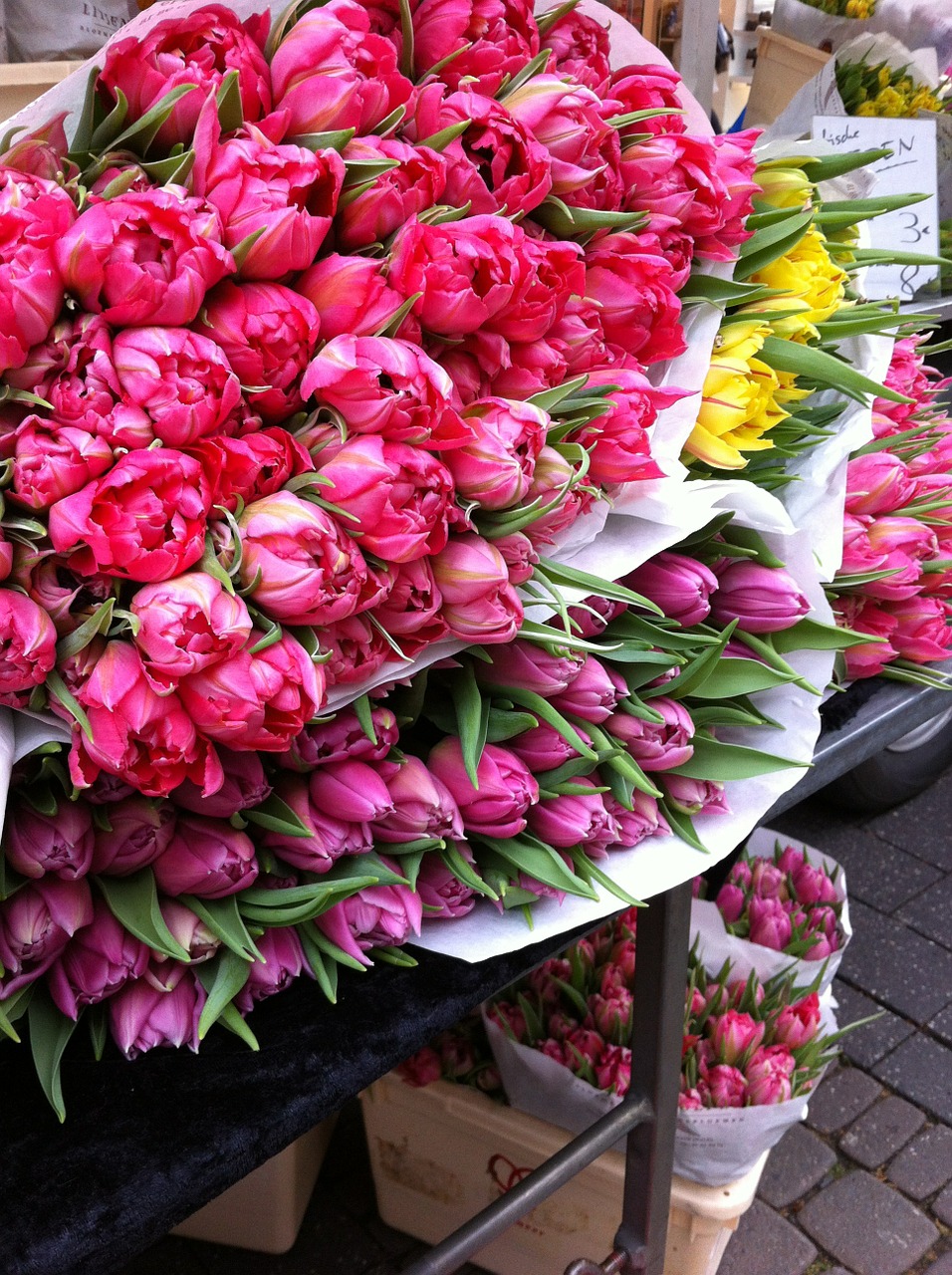 Flower Market of Amsterdam 