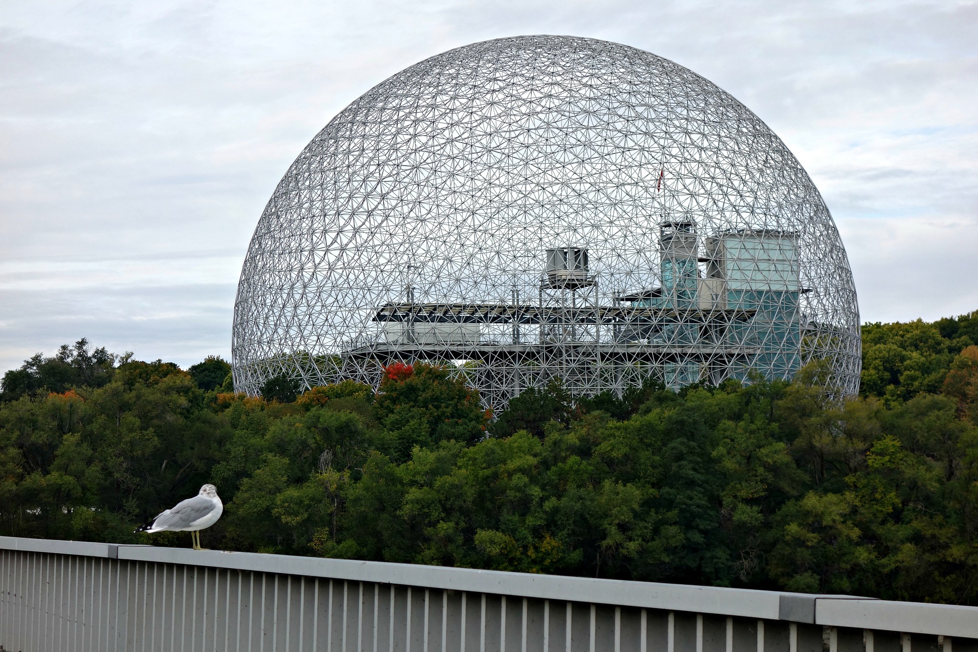 The Biosphere - free photo wikipedia