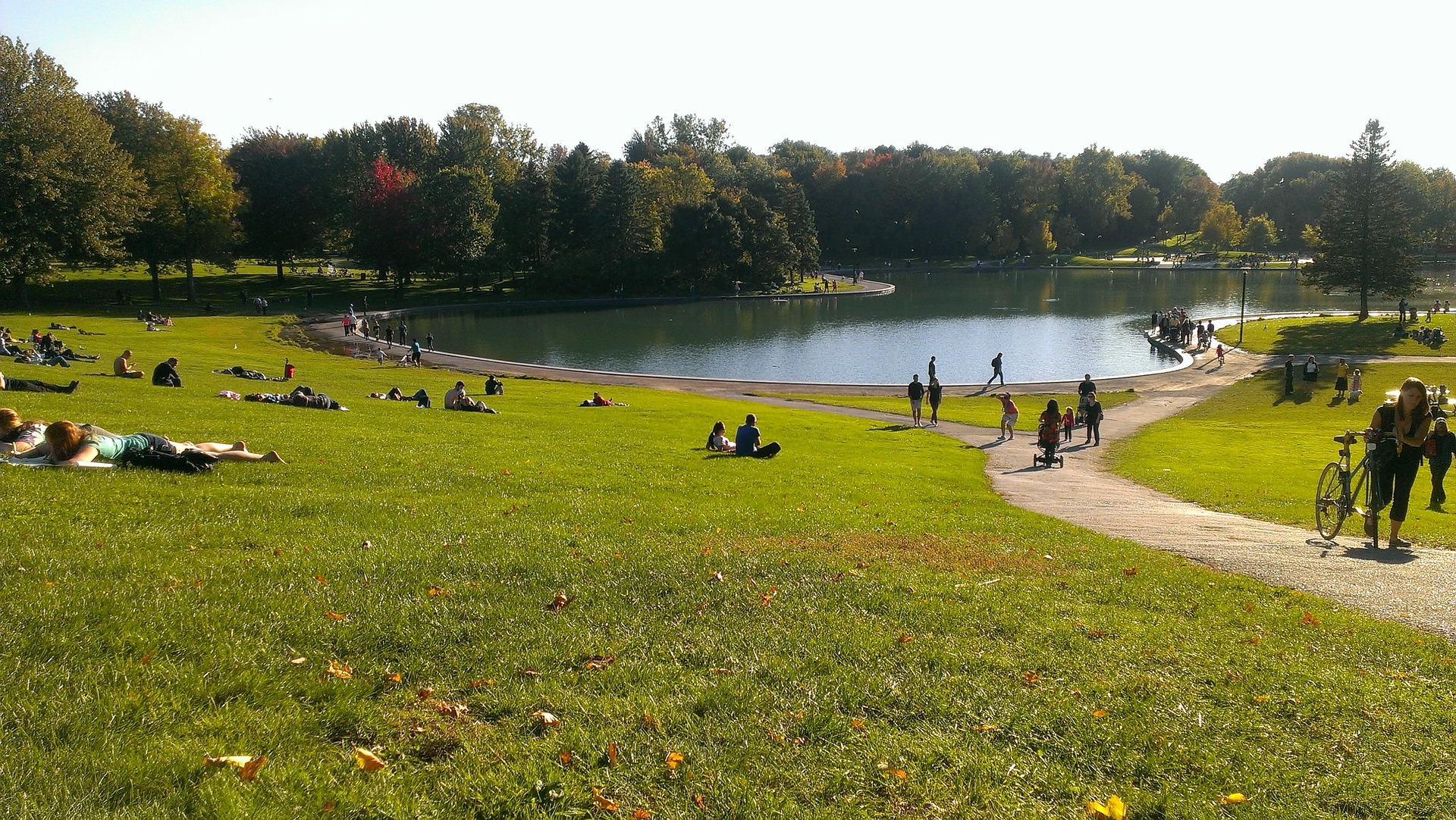 Parc Mont Royal