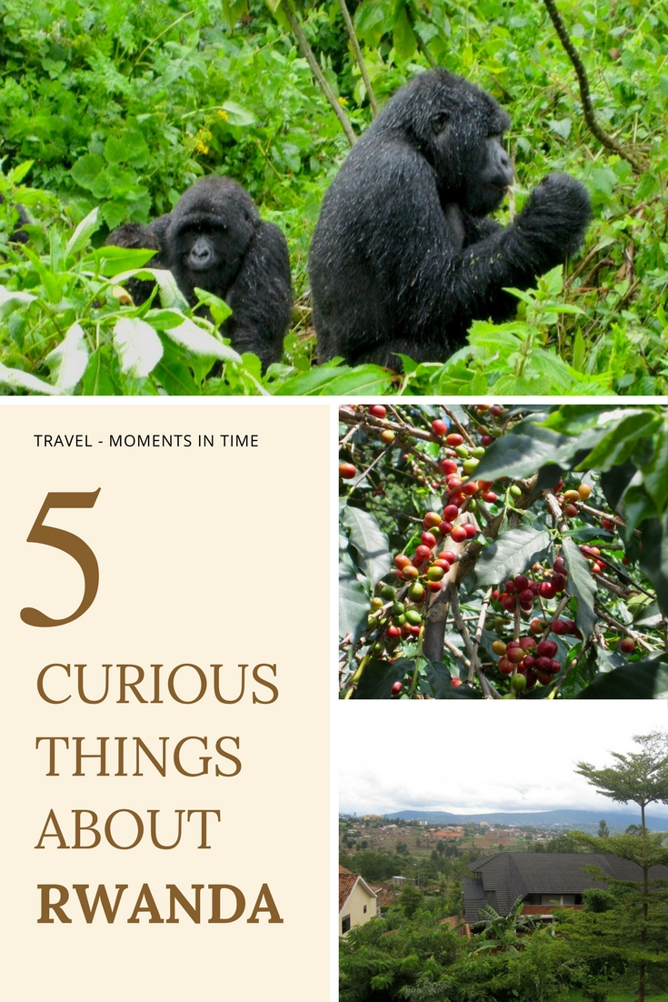 5 Curious Things About Rwanda