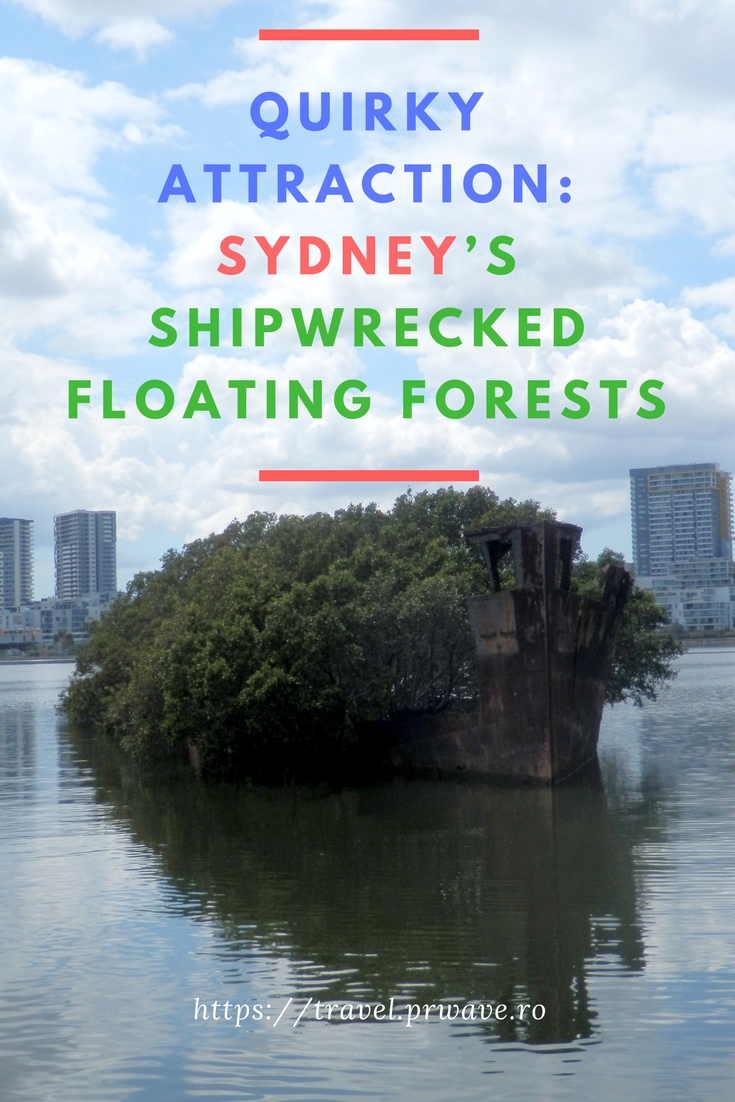 Quirky attraction: Sydney’s Shipwrecked Floating Forests, Australia - #unusual #attractions, travel, #Australia, #Sydney, travel curiosities, #Shipwreck