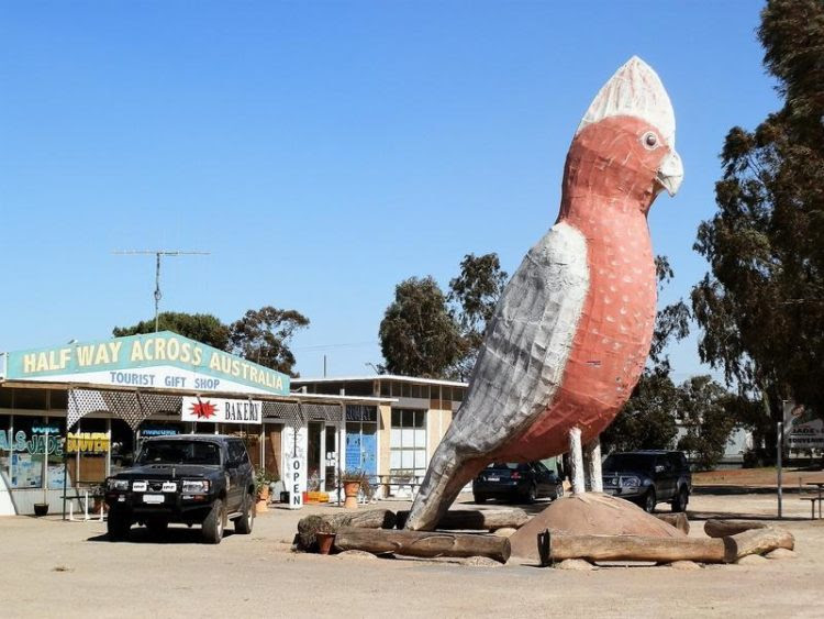 Big Galah, Kimba, South Australia