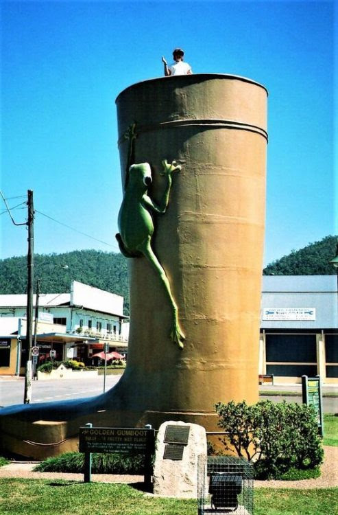 Golden Gumboot, Tully, Queensland, Australia