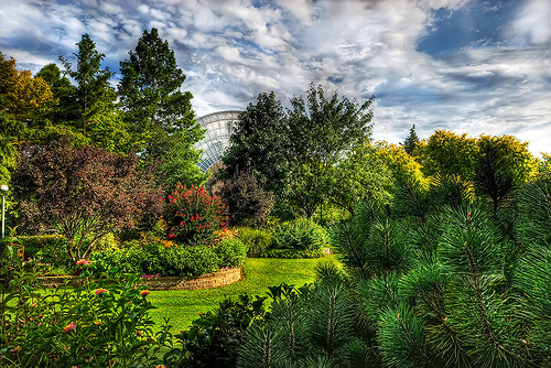 Myriad Botanical Gardens