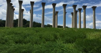 10 Offbeat Washington DC Attractions 10 Offbeat Washington DC Attractions