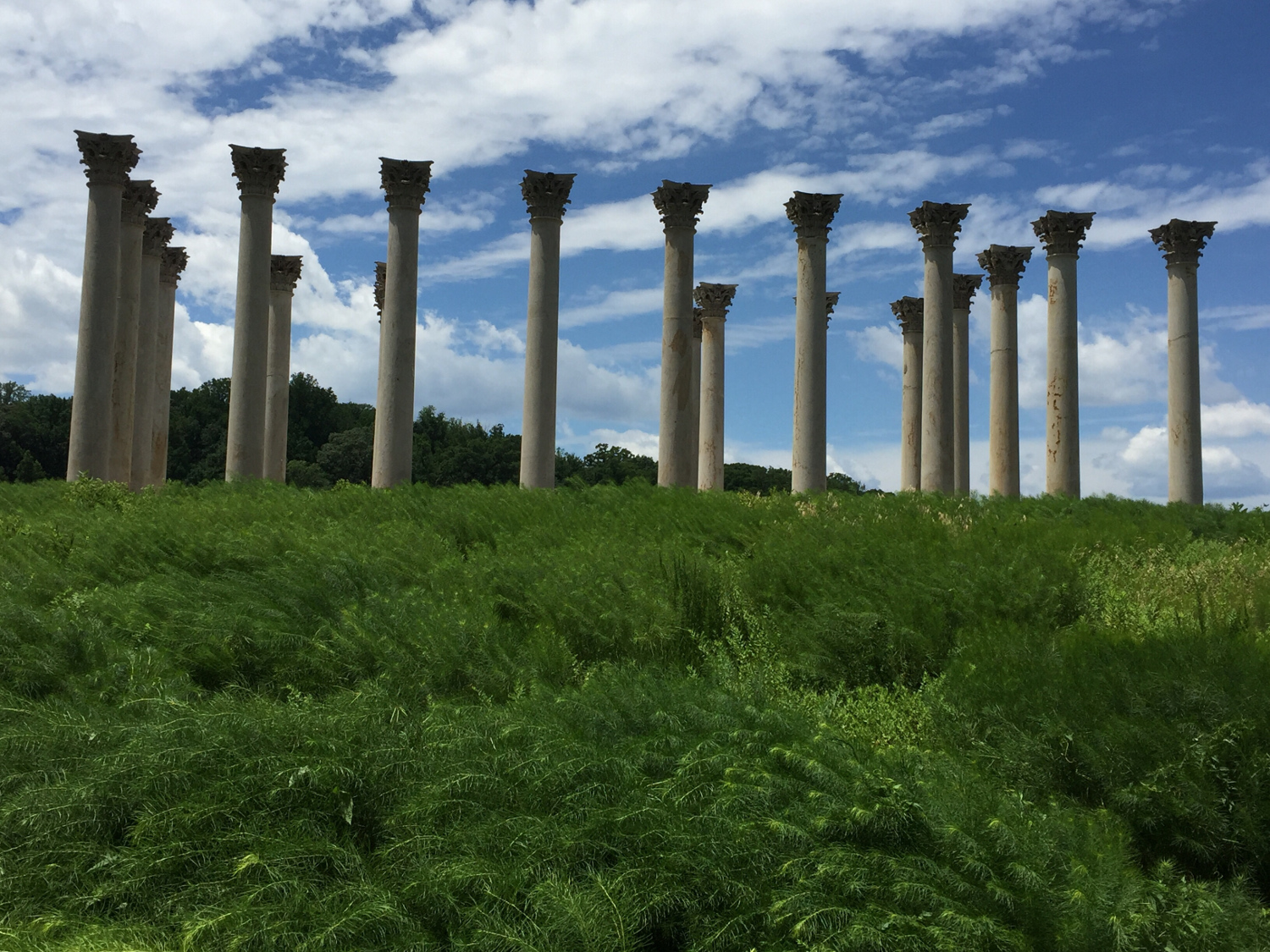 Columns at the National Arboretum