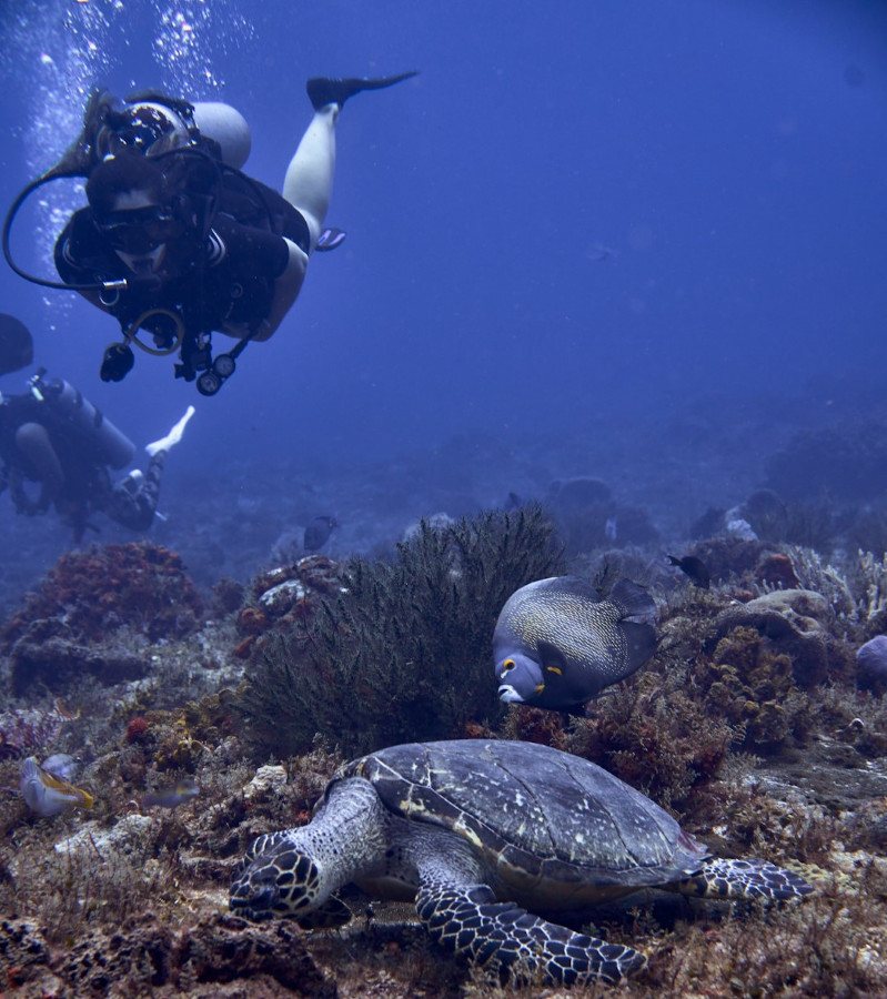 scuba diving in cancun cozumel