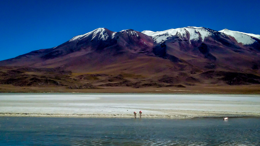 Laguna Colorado, Uyuni Salt Flats. The best things to see at Salar de Uyuni, Bolivia