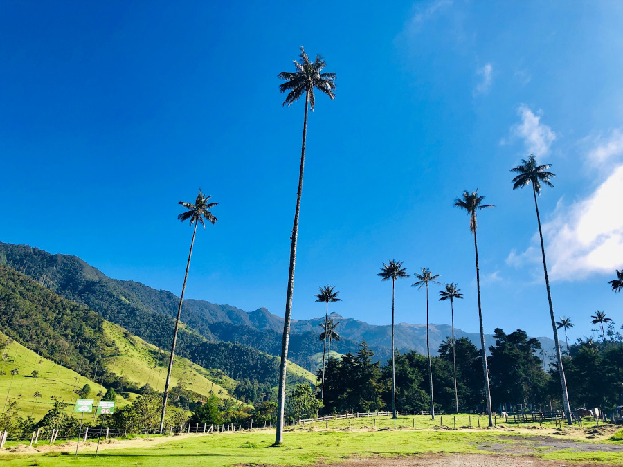 Travel to Colombia: things to know before you visit Colombia