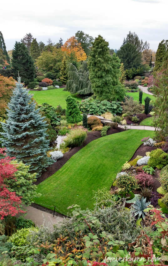 Queen Elizabeth Park is one of the best places to visit in Vancouver