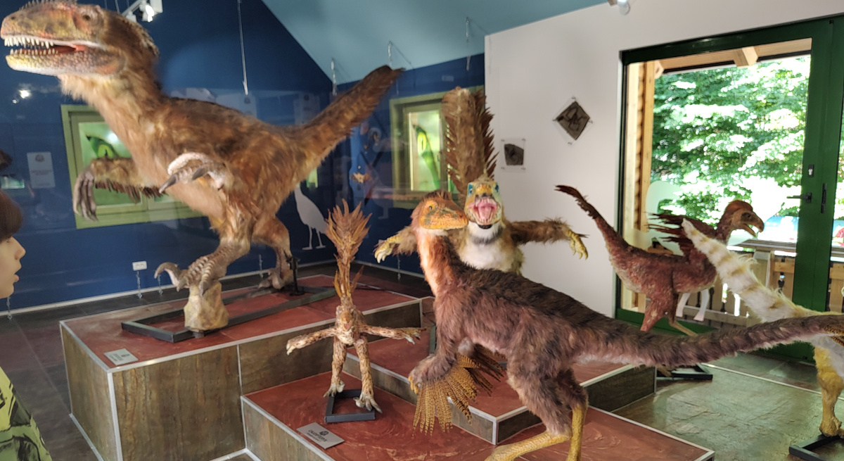 Dino Park Rasnov birds museum