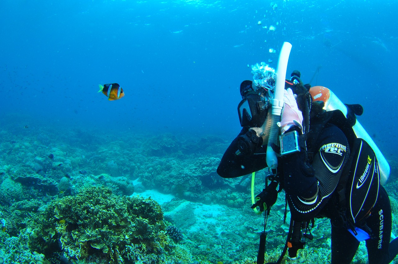 Scuba diving is one of the top 5 unmissable activities in the Philippines