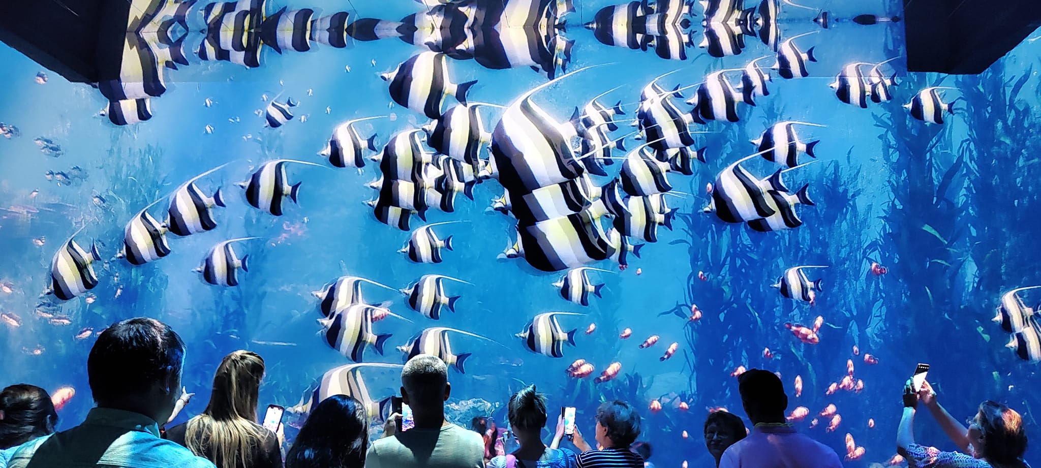 Underwater World - An Immersive Water Journey Mina Museum New Art Museum Bucharest