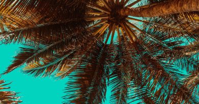 25 Unforgettable Summer Bucket List Ideas for Travelers 25 Unforgettable Summer Bucket List Ideas for Travelers