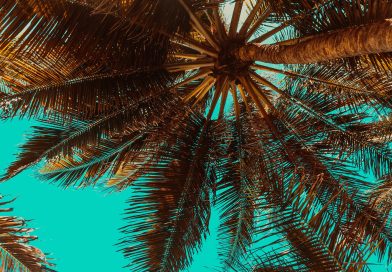 25 Unforgettable Summer Bucket List Ideas for Travelers