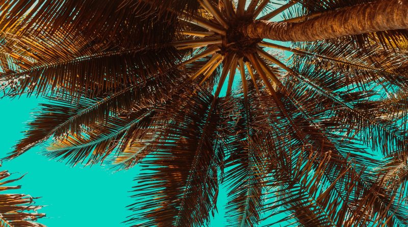 Things to do in the summer